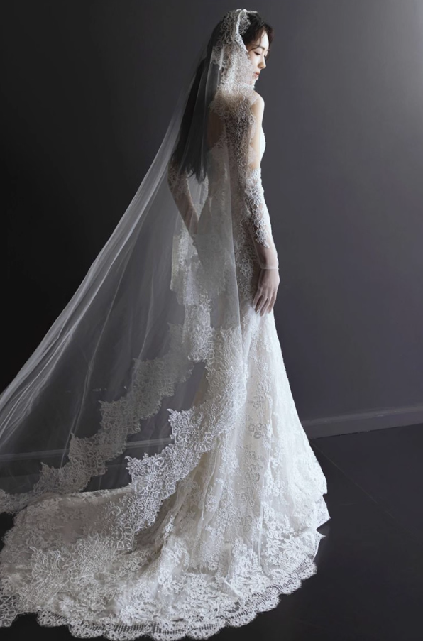 Timeless Applique Sheer Fabric Mermaid Dress Strapless Bodycon Wedding Dress AP0856