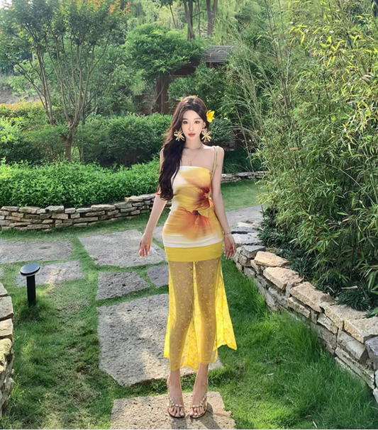 Vintage Sheer Lace Mesh Splicing Skirt Long Dress Hot Girls Sunflower Gradient Print Long Dress AP1099