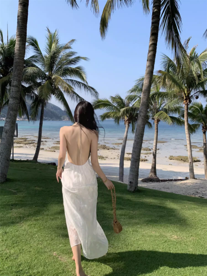 Charming Breathable Sheer Floral Tulle Overlay Maxi Dress Flowy Vacation Outfit Backless Halter Long Dress AP1217