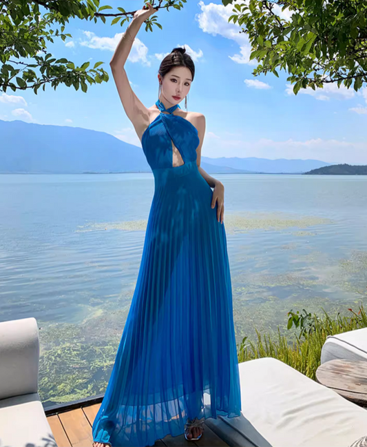 Alluring Hollow-Out Pressed Pleat Maxi Dress Chic Backless Scenic Vacays Halter Long Dress AP1234