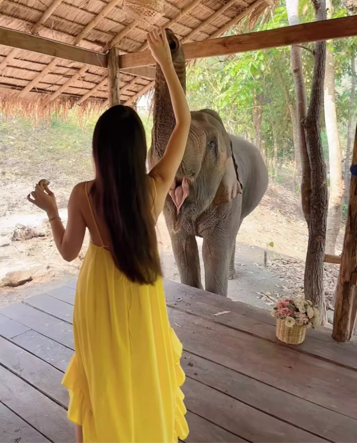 Vibrant Asymmetric Ruffles Hem Yellow Maxi Dress Y2K Beach Core Spaghetti Strap Loose Fit Long Dress AP1428