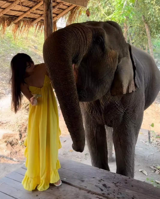 Vibrant Asymmetric Ruffles Hem Yellow Maxi Dress Y2K Beach Core Spaghetti Strap Loose Fit Long Dress AP1428