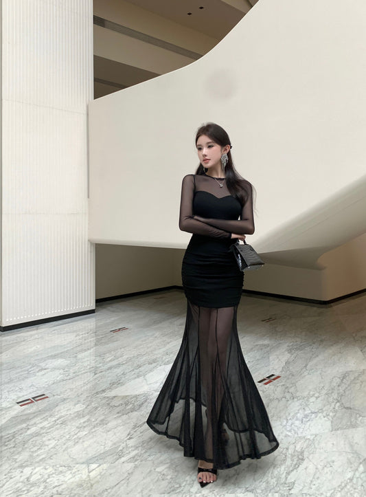 French-Inspired Black Sheer Mesh Long Sleeve Maxi Dress Gorgeous Ruched Detail Mermaid Hem Long Dress AP2027