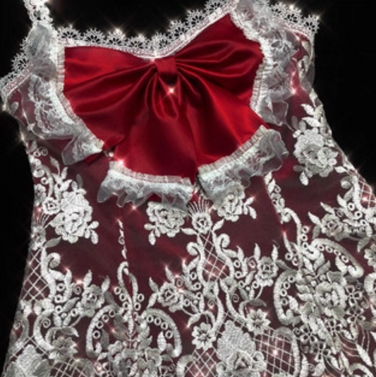 Charming Spaghetti Straps A-Line Birthday Gowns Bow Feather Lace Red Homecoming Dress AP3219