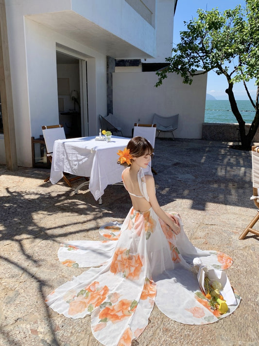 Graceful A-Line Halter Neck Slit Maxi Dress With Lining Princess Asymmetric Hem Floral Print Long Dress AP3340