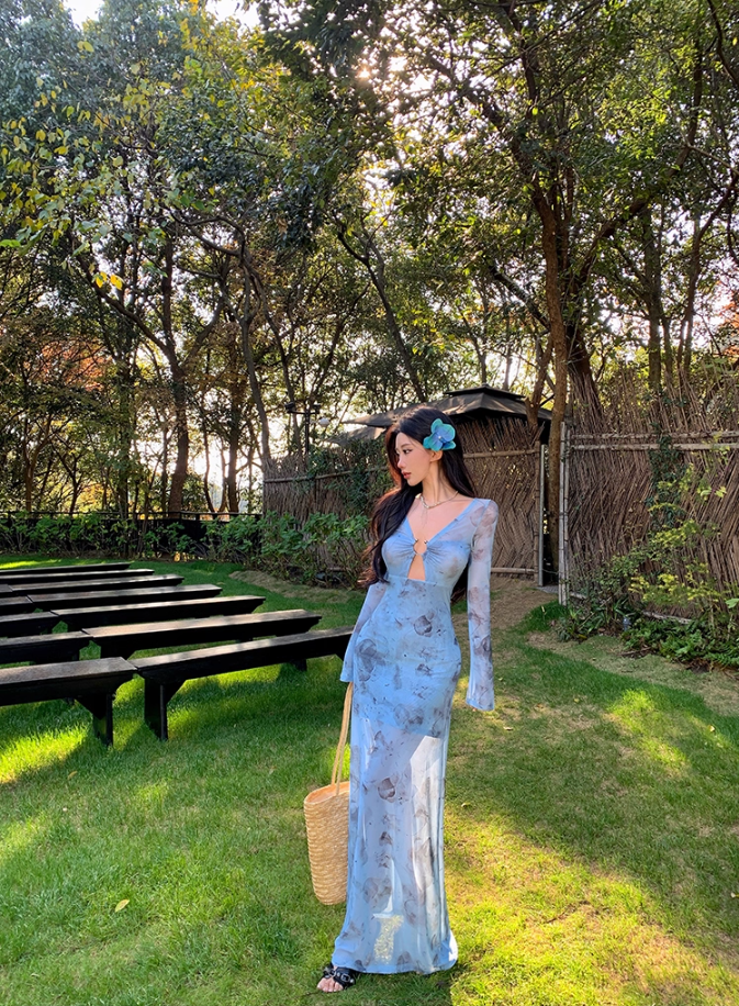 Superb V-Neck Long Bell-Sleeve Floral Print Maxi Dress Hottie Cutout Sheer Tulle Sheath Long Dress AP3466