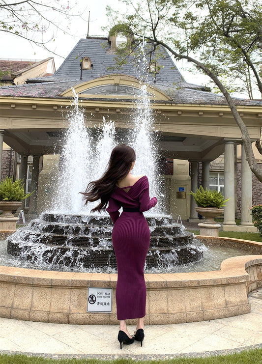 Hottie Deep V Neck Knitted Maxi Dress Fashionable Stretchy Long Sleeve Sheath Long Dress AP3733
