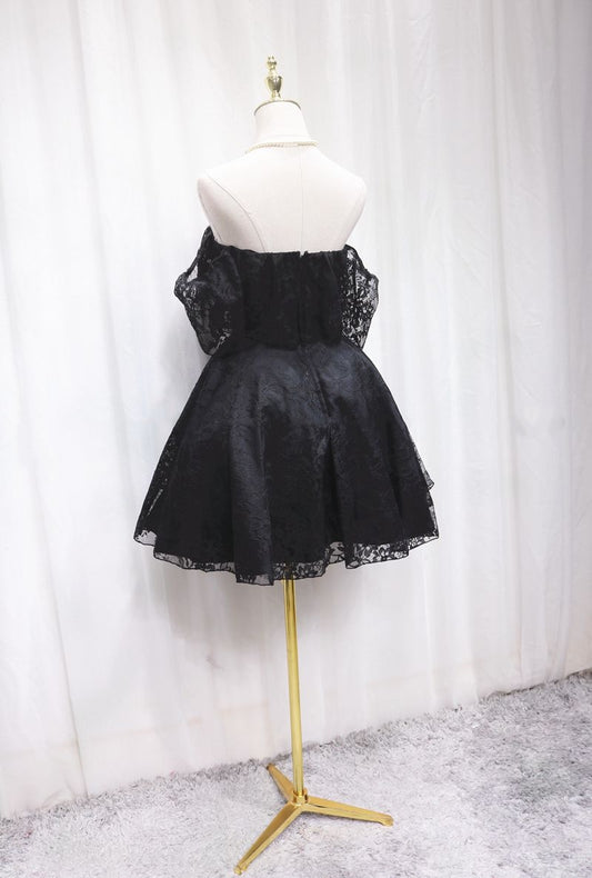 Fitted Off-Shoulder A-Line Birthday Dresses Black Lace Homecoming Dress AP4690