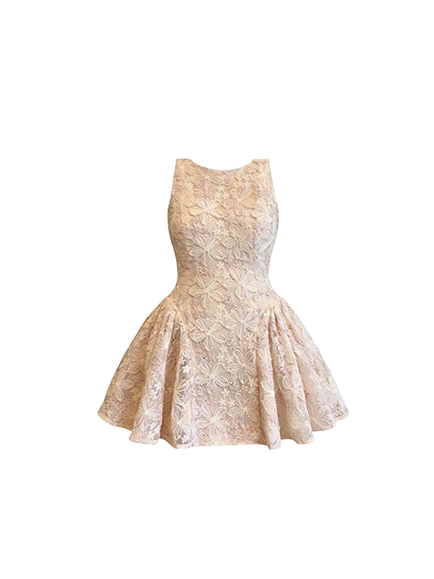 French Style Floral Lace Pattern A-Line Mini Skirt Trendy Blush Sleeveless Jewel Neck Short Dress AP5624