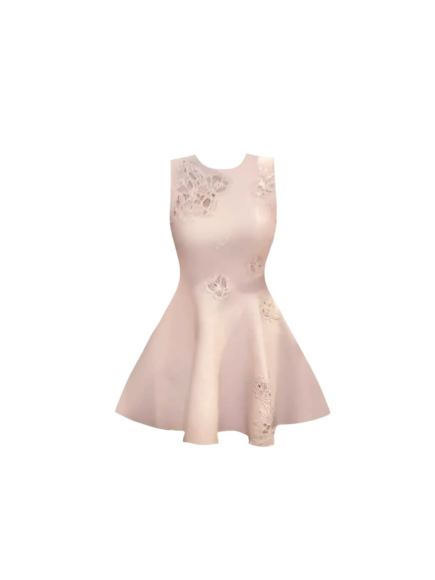 Casual 3D Lace Sleeveless A-Line Mini Skirt Elegant Blush Pink Jewel Neck Flowy Short Dress AP5654