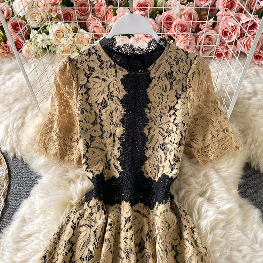 Elegant Lace Short New Sumple Dress A Line Fashion Dress AP00090