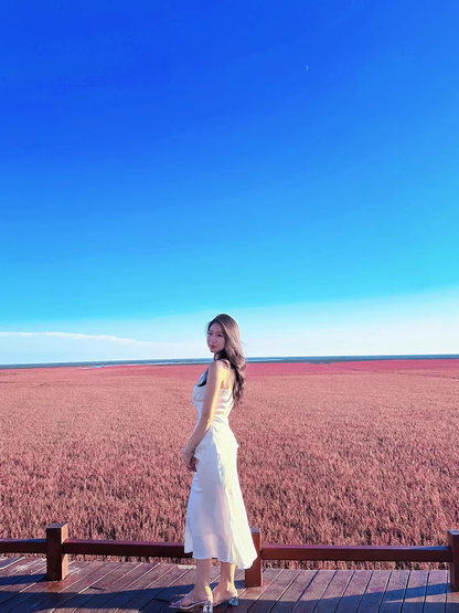 New Style White Sleeveless Beach Slim Halter Dress  AP0242