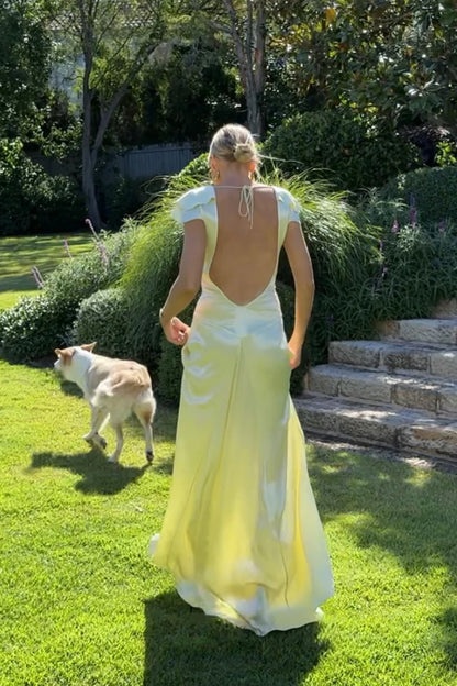 Elegant A Line Deep V Neck Yellow Long Prom Dress with Open Back AD054