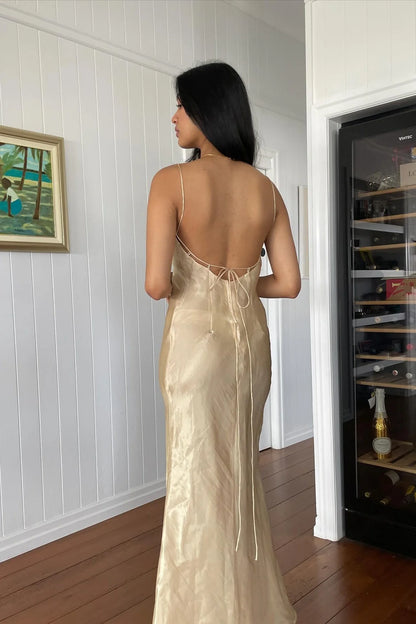 Simple Sheath Spaghetti Straps Champagne Long Party Dress With Backless AD794