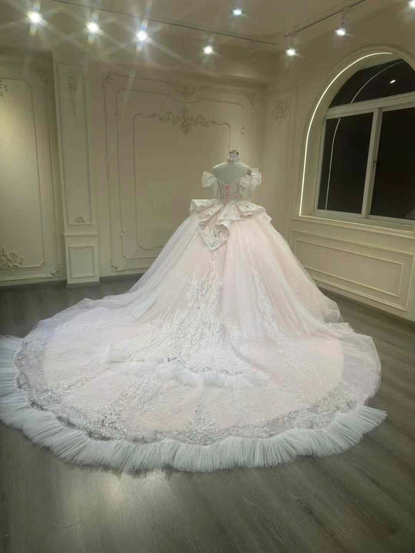 Dreamy Blush Glitter Tulle Off Shoulder Fringe Beaded Sleeve Rhinestone Lace Corset Ball Gown Wedding Dress With Cathedral Train AE072