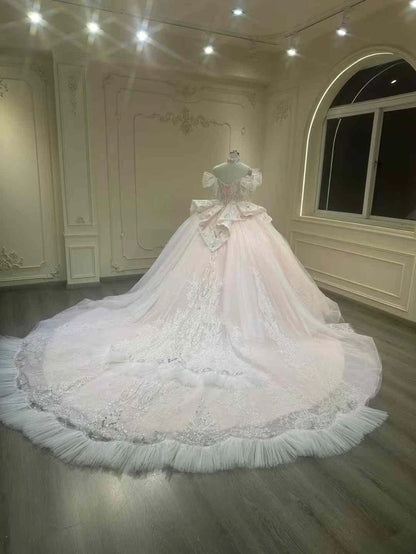 Dreamy Blush Glitter Tulle Off Shoulder Fringe Beaded Sleeve Rhinestone Lace Corset Ball Gown Wedding Dress With Cathedral Train AE072