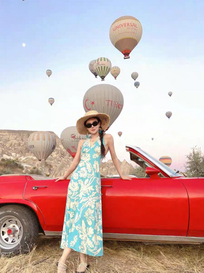 Bohemian Flowy Summer V-Neck Maxi Dress Soft Fabric Backless Floral Printed Halter Dress AP1089