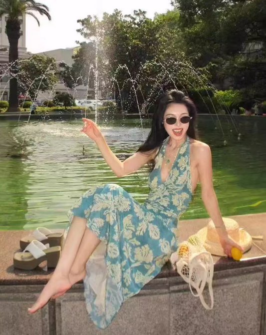 Bohemian Flowy Summer V-Neck Maxi Dress Soft Fabric Backless Floral Printed Halter Dress AP1089