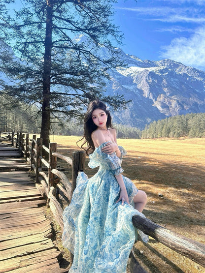 Elegant Dress Off-Shoulder Strapless Flowy Long Dress AP0350