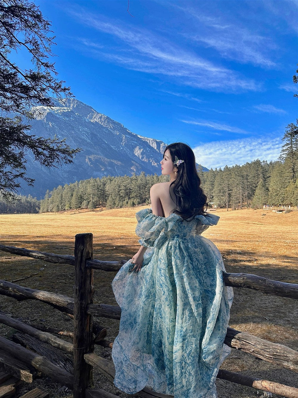 Elegant Dress Off-Shoulder Strapless Flowy Long Dress AP0350