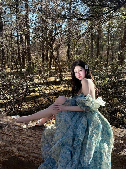 Elegant Dress Off-Shoulder Strapless Flowy Long Dress AP0350