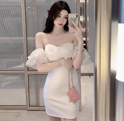 Casual Party Off-Shoulder Strapless Mini Dress Gentle Everyday Wear Bodycon Short Dress AP0372