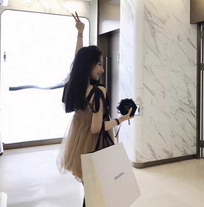 Everyday Wear Vogue Bowknot Strap Cute Full Skirt Double Layer Tulle Short Dress AP0405