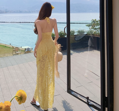 Asymmetrical Hem Lightweight Vacation Midi Dress Backless V Neck Halter Long Dress AP0422