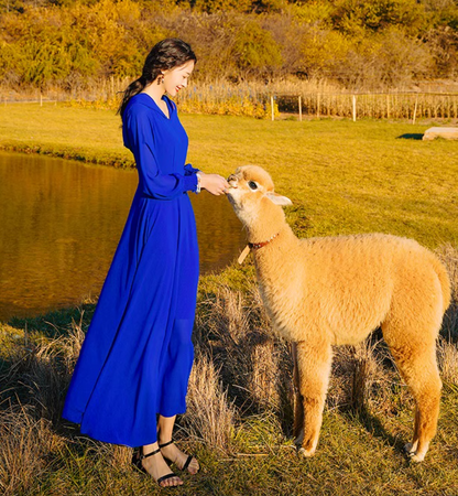 Bohemian Hooded Maxi Dress Strapless Long Sleeve Vacation Travel Long Dress AP0585