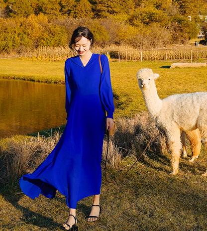 Bohemian Hooded Maxi Dress Strapless Long Sleeve Vacation Travel Long Dress AP0585