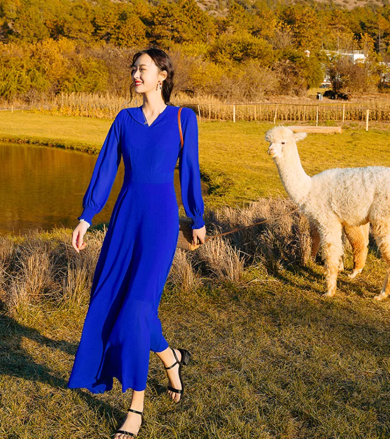 Bohemian Hooded Maxi Dress Strapless Long Sleeve Vacation Travel Long Dress AP0585