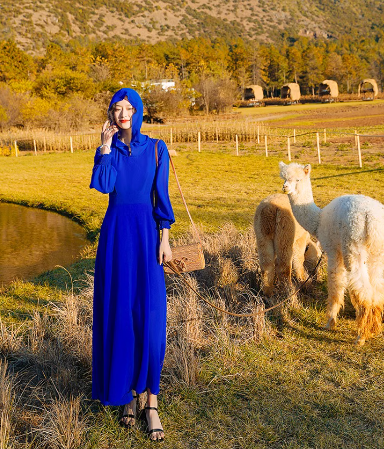 Bohemian Hooded Maxi Dress Strapless Long Sleeve Vacation Travel Long Dress AP0585