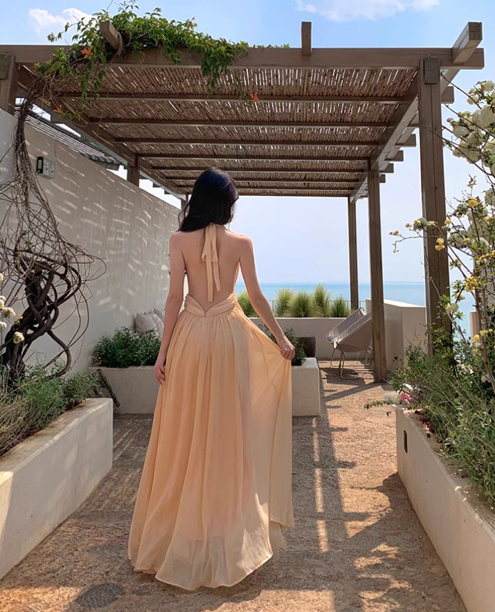 Fairycore Ambience Backless Maxi Skirt Deep V Neck Flowy Halter Long Dress AP0591