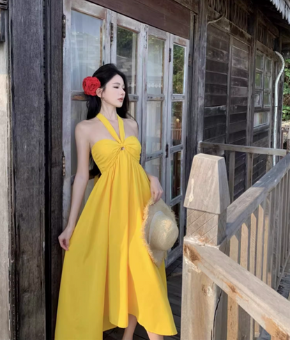 Vacation Vibe Waist-Cinching Maxi Dress Backless Tropical Vibrant Halter Long Dress AP0609