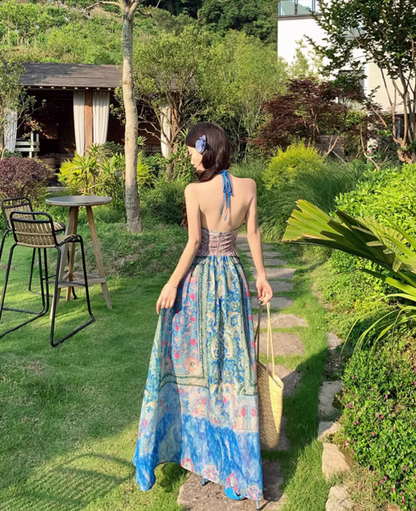 Tropical Travel Outfit Floral Print Vibrant Maxi Dress Dopamine Style V Neck Long Dress AP0622