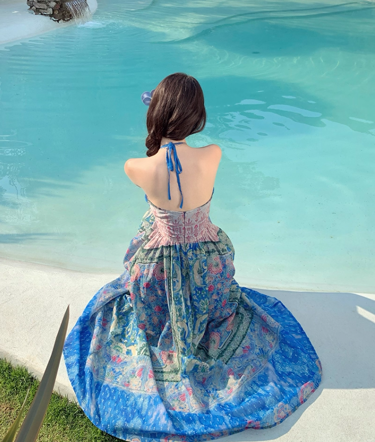 Tropical Travel Outfit Floral Print Vibrant Maxi Dress Dopamine Style V Neck Long Dress AP0622