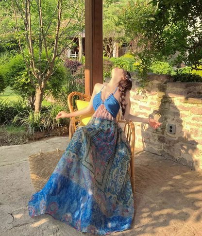 Tropical Travel Outfit Floral Print Vibrant Maxi Dress Dopamine Style V Neck Long Dress AP0622