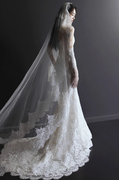 Timeless Applique Sheer Fabric Mermaid Dress Strapless Bodycon Wedding Dress AP0856