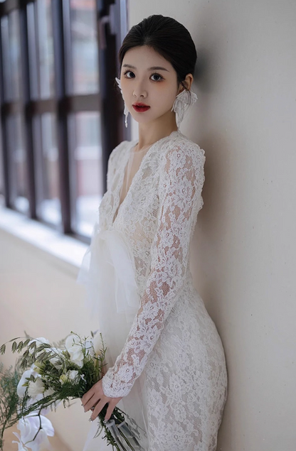 Charming Open-Back Hollow-Out Evening Dress Sheer Lace Splicing Applique Long Sleeve Prom Dress AP0970