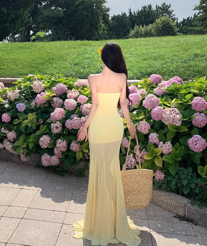 Vintage Vacations Outfit Sheath Gen Z Long Dress Strapless Yellow Sheer Tulle Splicing Long Dress AP1128