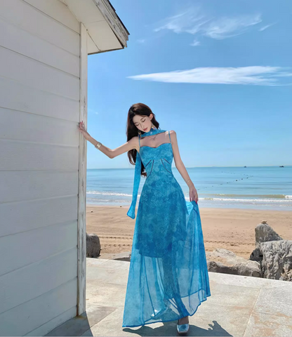 Dopamine Chic Blue Floral Print Tulle Overlay Maxi Dress Vacation Flowy Spaghetti Strap Long Dress AP1130