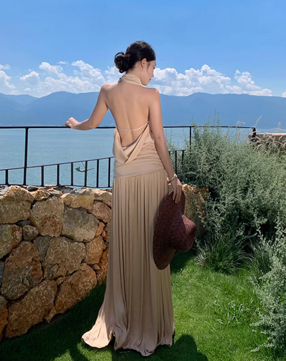 Elegant Draped Flowy Vocation Outfit Maxi Dress Backless Soft Fabric Halter Dress AP1153