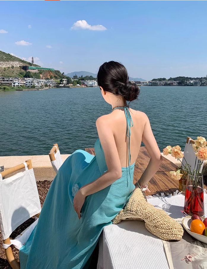 Vibrant Floral Design Vacation Outfit Maxi Dress Backless Flowy Minimalist Halter Long Dress AP1155