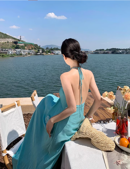 Vibrant Floral Design Vacation Outfit Maxi Dress Backless Flowy Minimalist Halter Long Dress AP1155