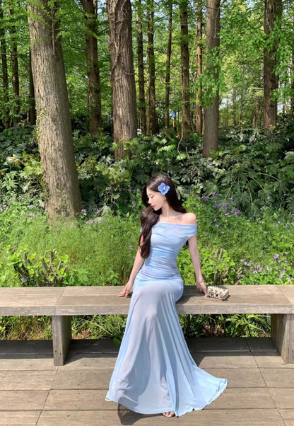 Glamorous Off-Shoulder Strapless Maxi Dress Minimalist Mesh Fabric Splicing Long Dress AP1160