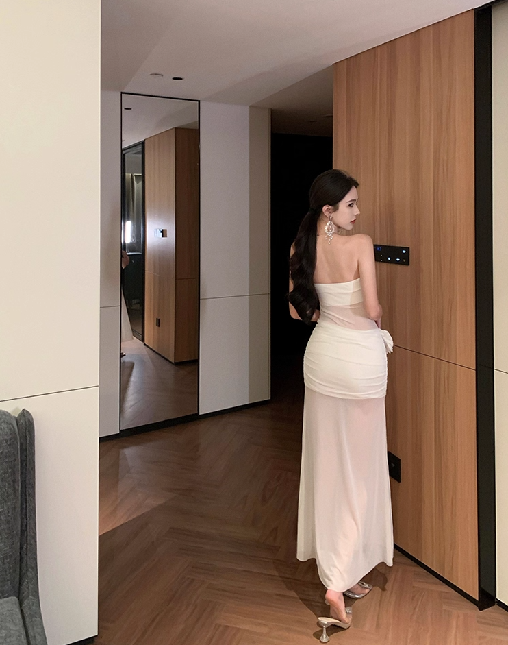 Sexy Sheer-Inset Everyday Wear Maxi Dress Strapless Flower-Trimmed Sheath Long Dress AP1172