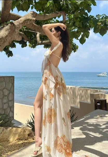 Gorgeous High Slit Flowy Maxi Dress Chic Ruffles Floral Printed Asymmetric Hem Halter Long Dress AP1180