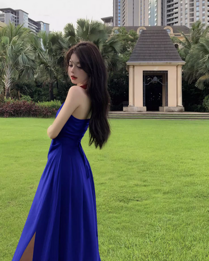 Elegant Blue A-Line Maxi Dress With Slit Backless Natural Draped Flowy Halter Long Dress AP1202