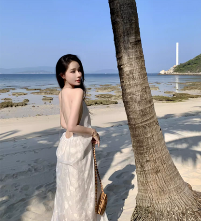 Charming Breathable Sheer Floral Tulle Overlay Maxi Dress Flowy Vacation Outfit Backless Halter Long Dress AP1217