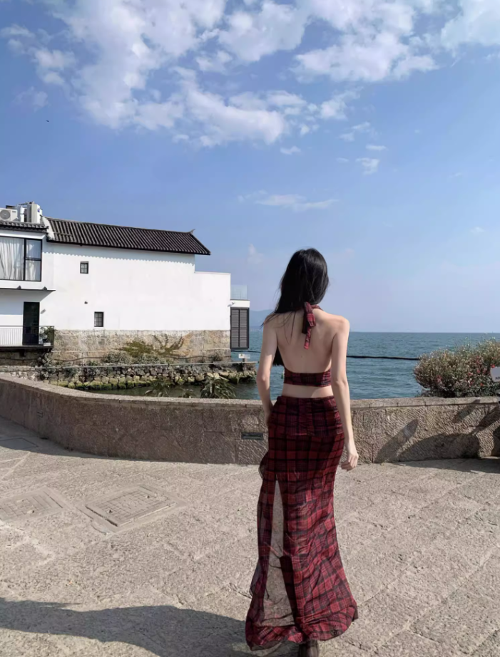 Hot Girls Hi-Lo Hem Two-Piece Set Maxi Dress Checkered V-Neck Backless Halter Long Dress AP1219